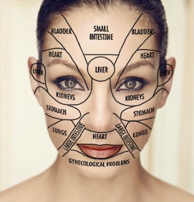 facemap_2 facemap_2